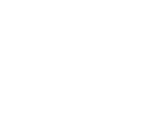 logo lite coffre-fort numérique gerermesaffaires.com